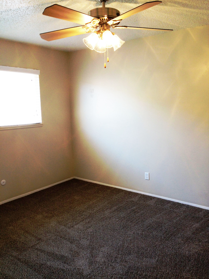 271 & 291  S. Halcyon Road - Photo 2 of 5