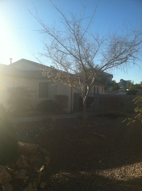 5012 S London Ct - Photo 3 of 9