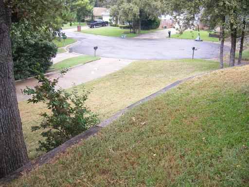 1602 Brunson Ct - Photo 2 of 9