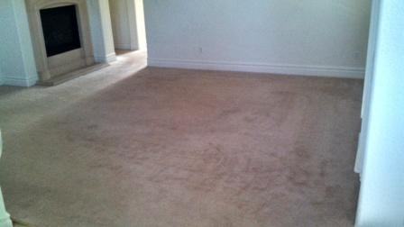 6300 Park Village St - Photo 3 of 14