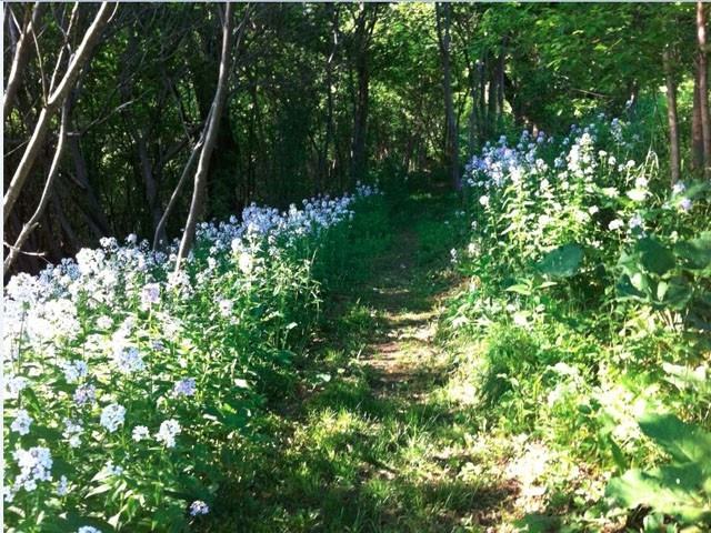 Mt. Philo Inn - Photo 2 of 11