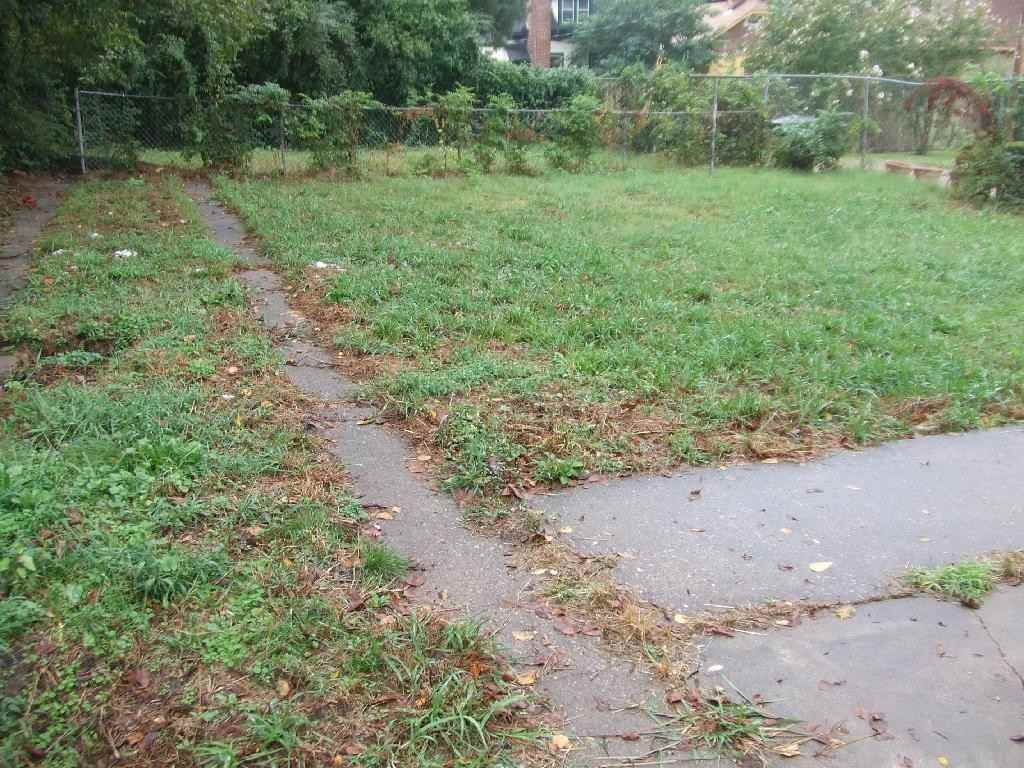 1667 Waverly Ave - Photo 3 of 7