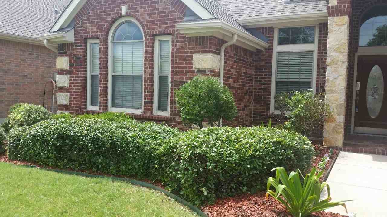 9729 Stripling Dr - Photo 3 of 24
