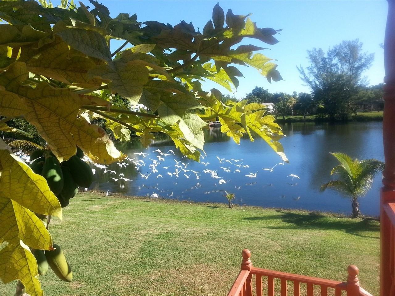 19531 NE 22nd Ave - Photo 2 of 8