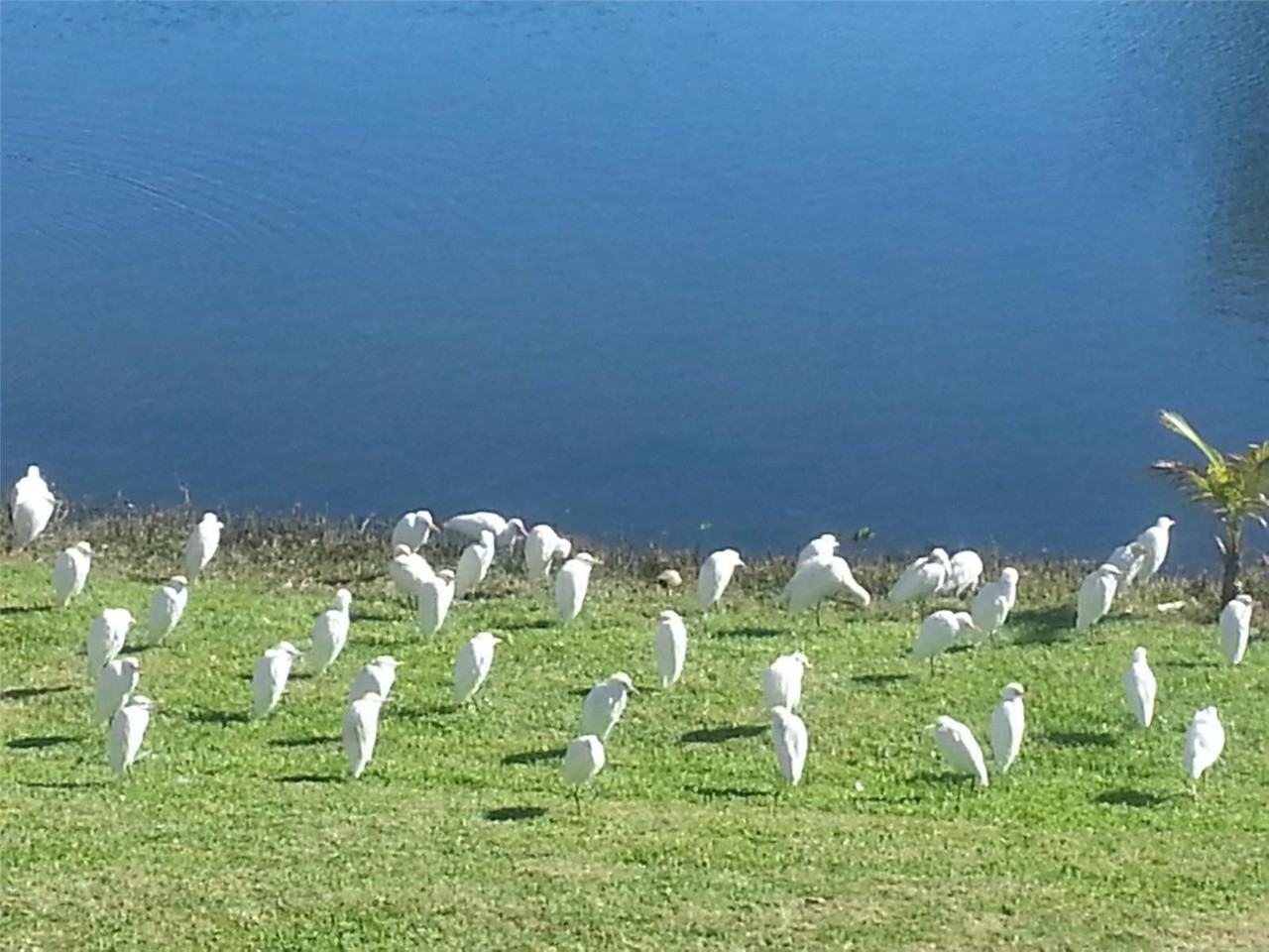 19531 NE 22nd Ave - Photo 3 of 8