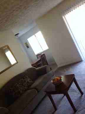 7116 Village Green Dr - Photo 3 of 11