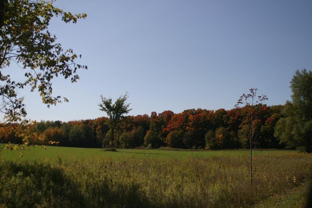 Meadow Lane Estates - Photo 3 of 50