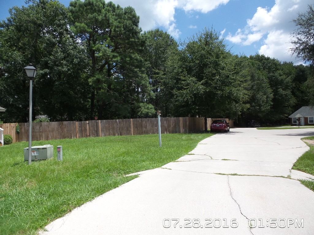 4114 Blind Brook Court - Photo 3 of 12