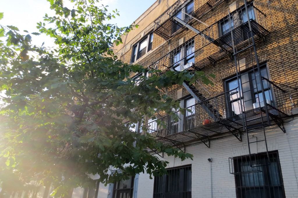 Bergen St & Classon Ave #22