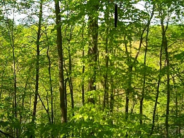 642 Woodburn Court - Photo 2 of 11