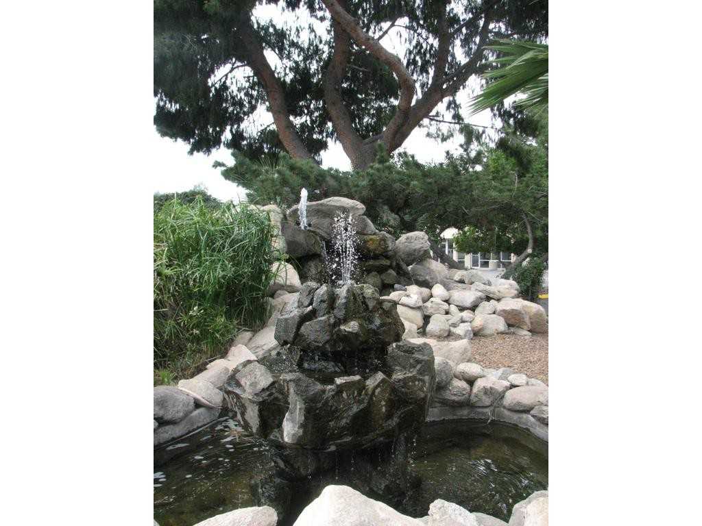 Oracle Palms - Photo 3 of 8