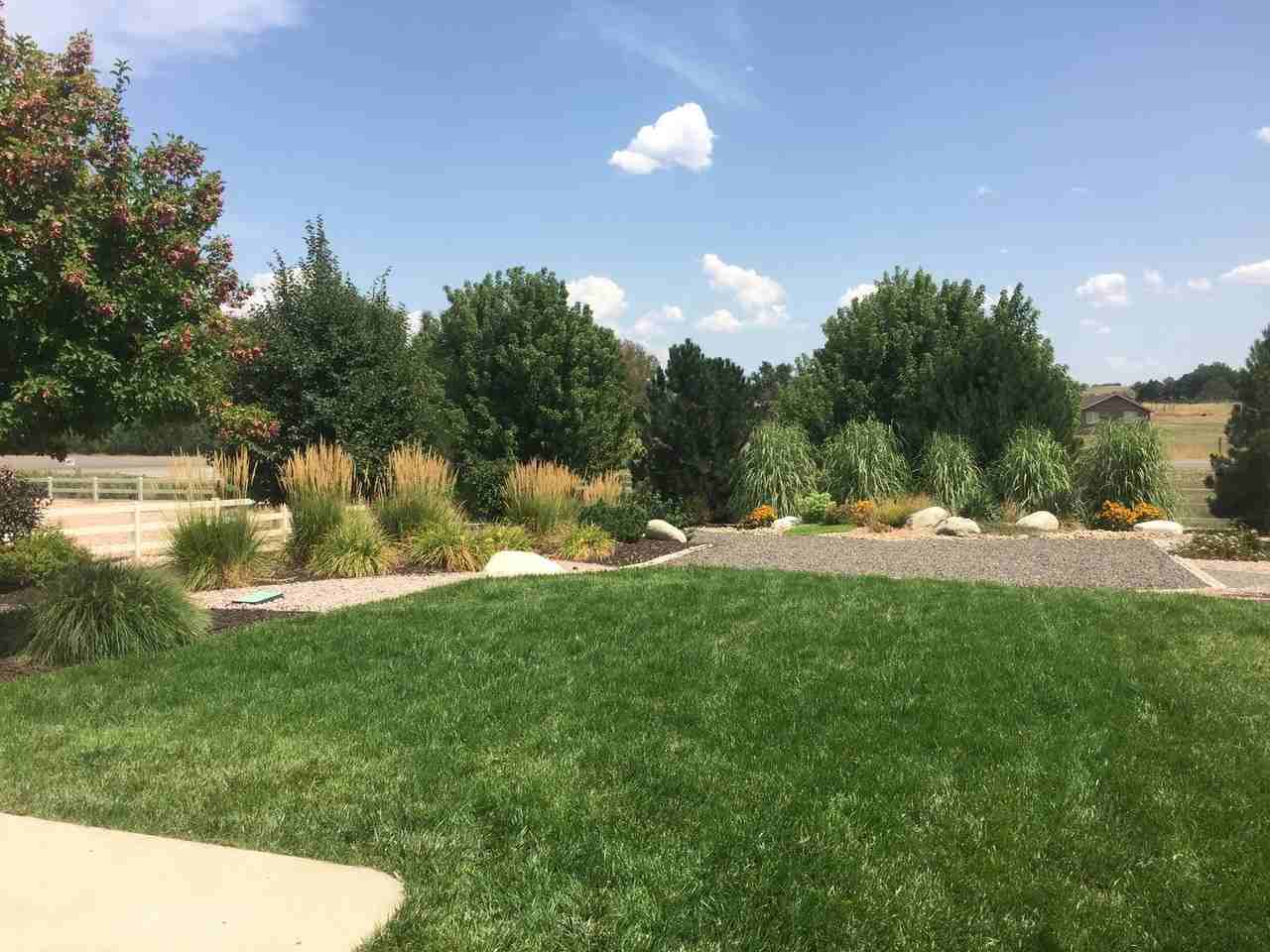 9158 Forest St - Photo 2 of 37