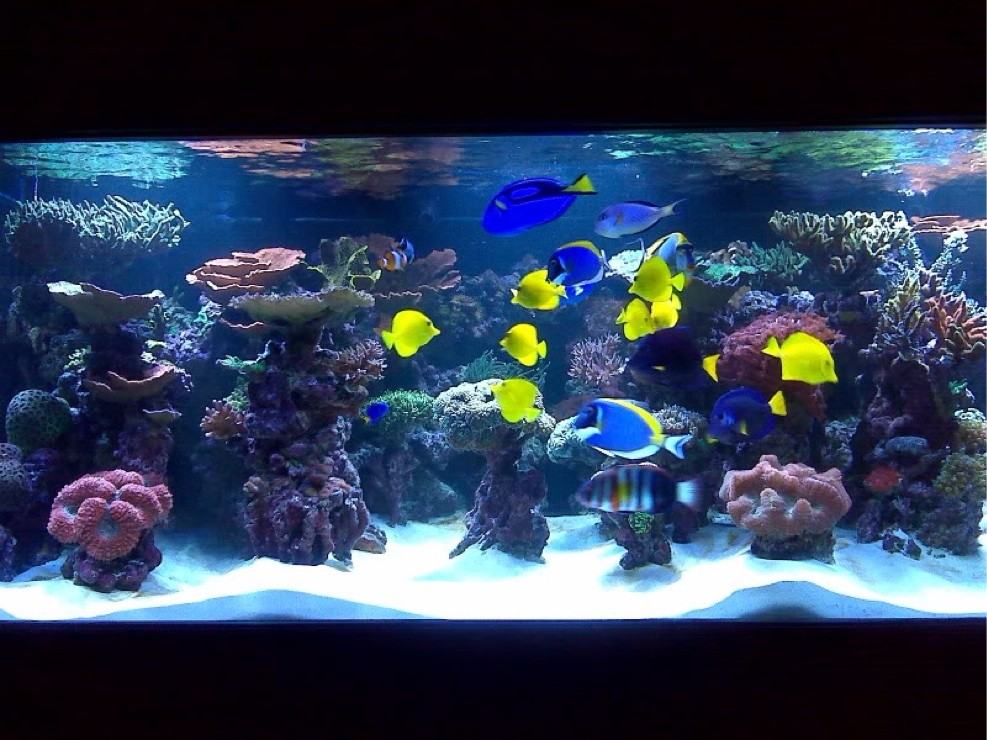 1 Main St #1 - Photo 3 of 3