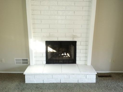 727 Coffee Berry Ln - Photo 3 of 10