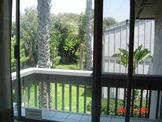 Harbour Pacific - Photo 3 of 7