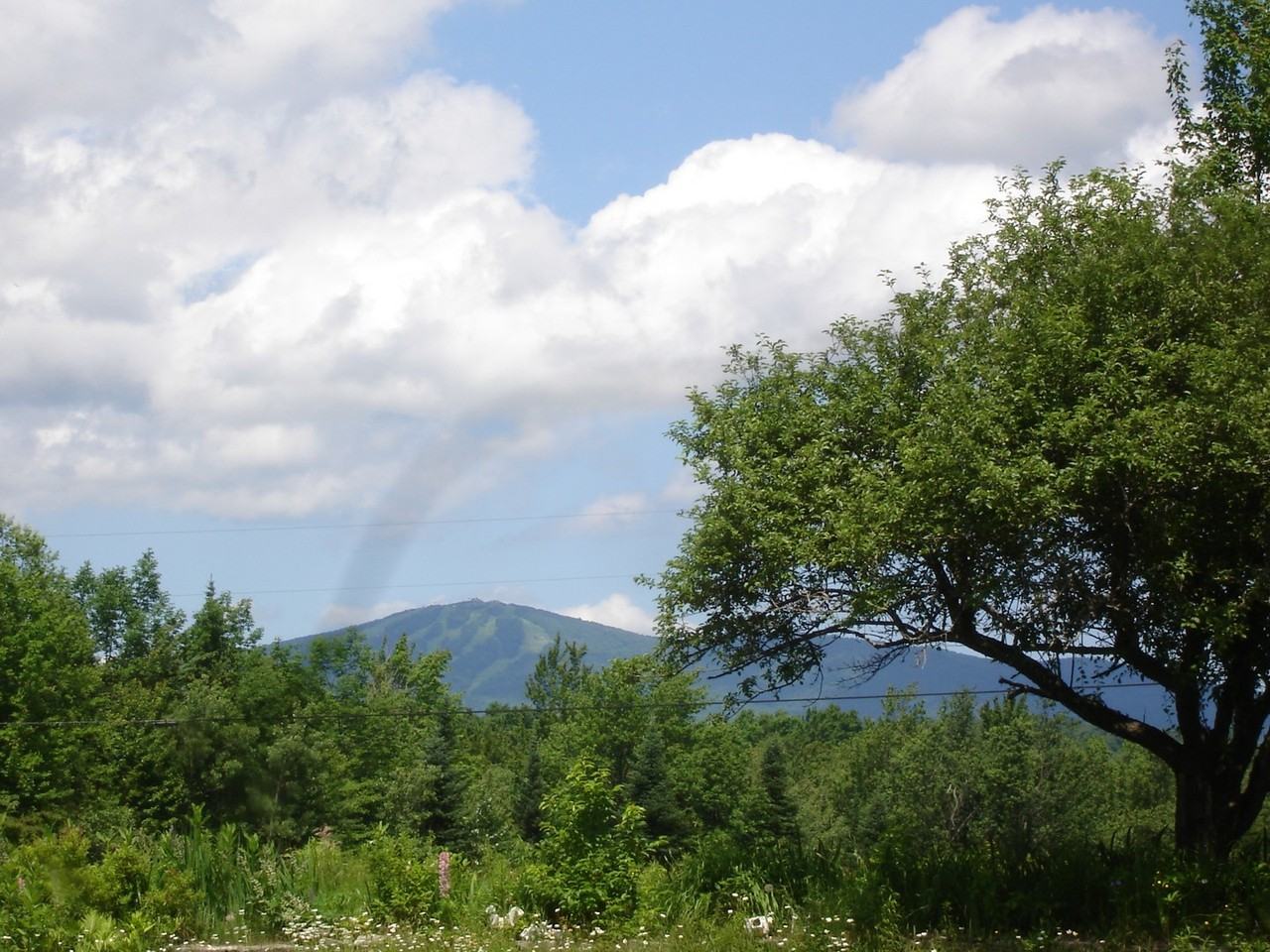 662 Haven Hill Rd - Photo 3 of 13