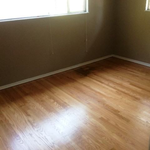 8419 Norine Dr - Photo 3 of 9