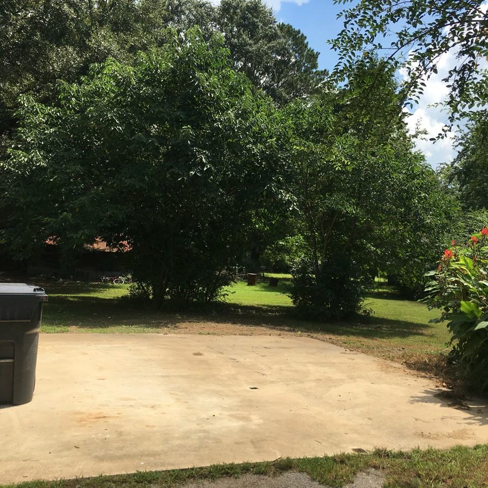 184 McGowin Road - Photo 3 of 10