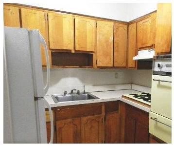 151 & 219 Lincoln Ave - Photo 2 of 9