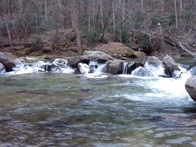 5 Rocky Glen Trail - Photo 2 of 12