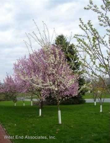 4822 Hilton Rd - Photo 3 of 8