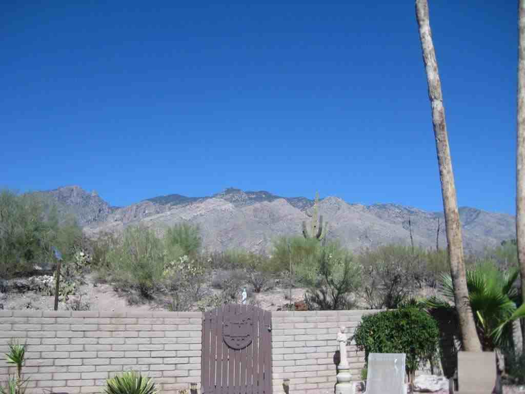 4525 East Camino De Oro - Photo 2 of 23