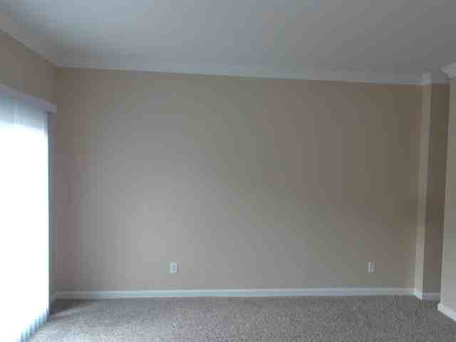 9651 Thorn Blade Dr - Photo 3 of 16