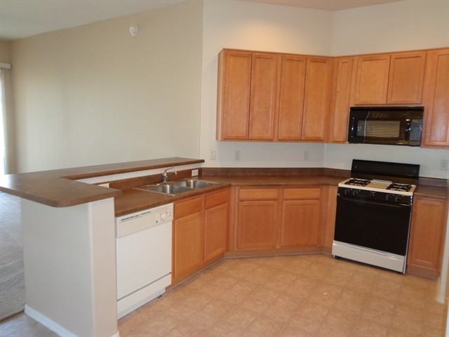 33 E Calle Vivaz - Photo 3 of 9