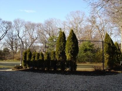 20 Brushy Neck Ln - Photo 3 of 7