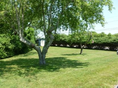111 W Lake Dr - Photo 2 of 15