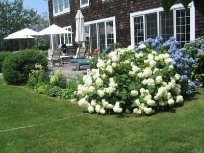 65 Osprey Way - Photo 2 of 9