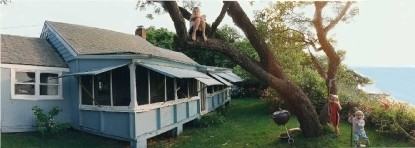 4625 Blue Horizon Bluffs - Photo 2 of 16