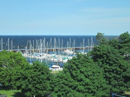 955-901 1st St - Photo 2 of 15