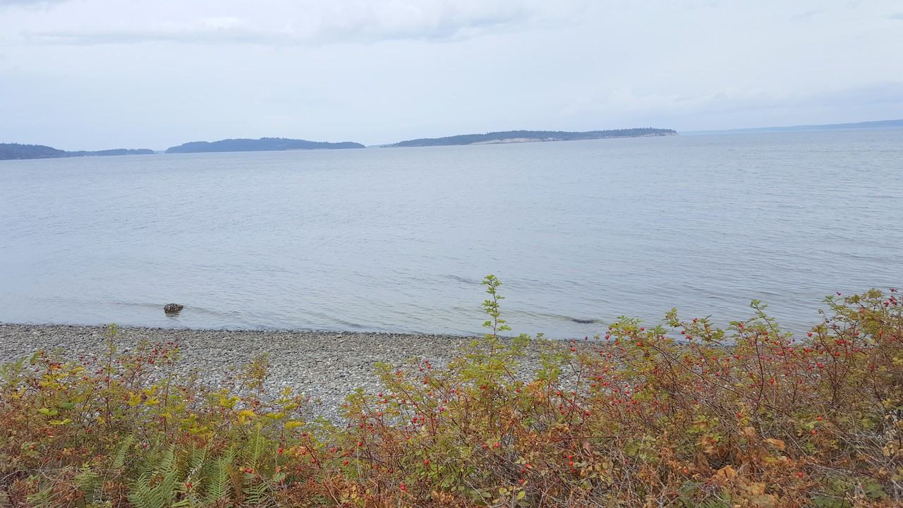 461 Olele Point Rd - Photo 2 of 45