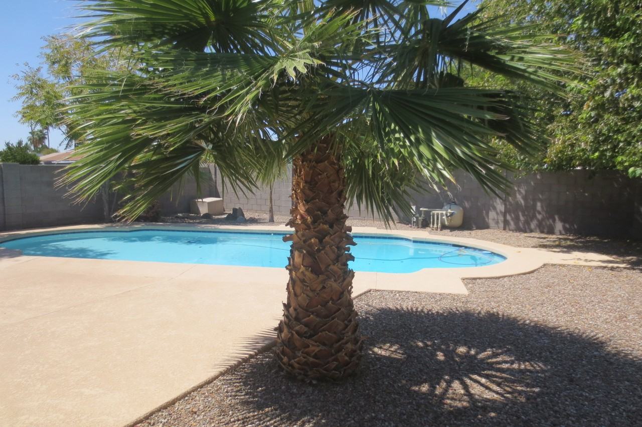 13244 N 37th Way - Photo 3 of 30