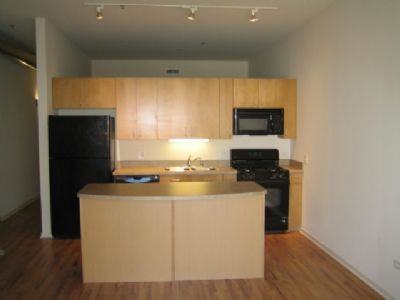 3505 South Morgan Street #308