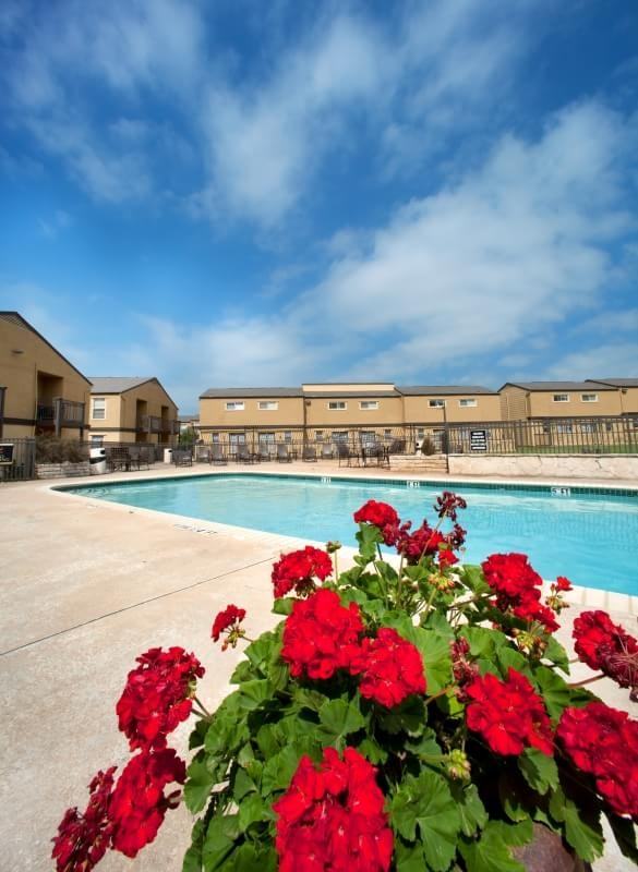 4005 Vitruvian Way - Photo 3 of 9