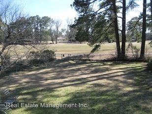 207 E Palmer Dr - Photo 3 of 19