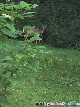 558 Point Douglas Rd S - Photo 2 of 16