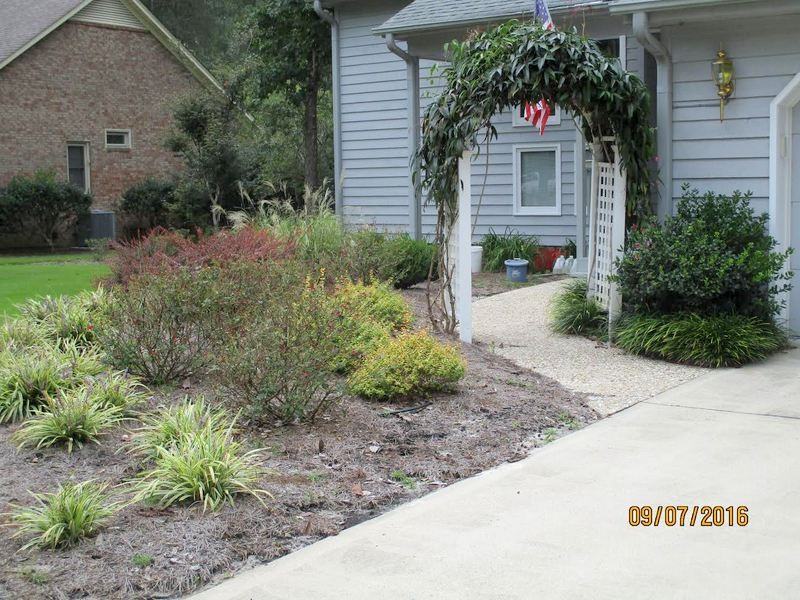 1117 Basil Dr - Photo 2 of 22