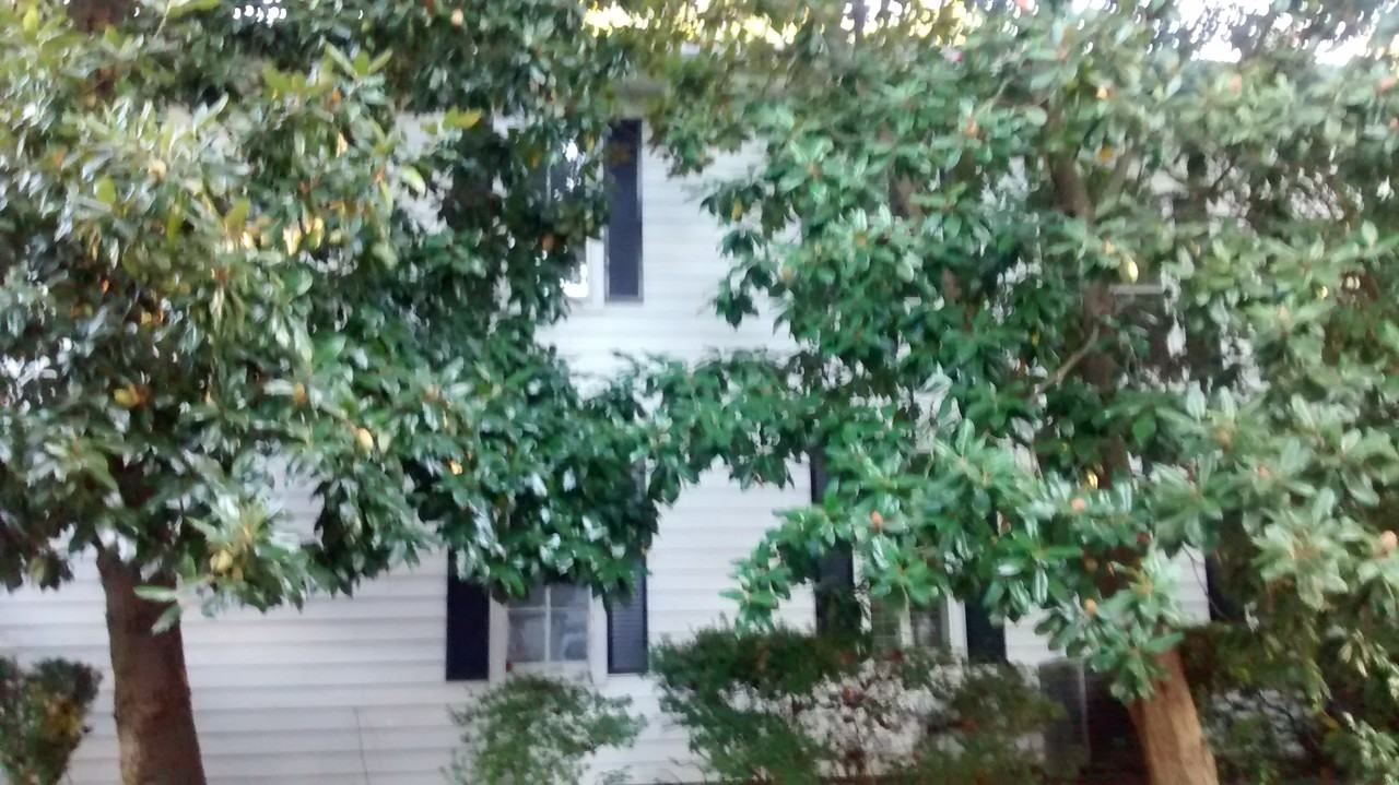 525 Main Street - Photo 2 of 60