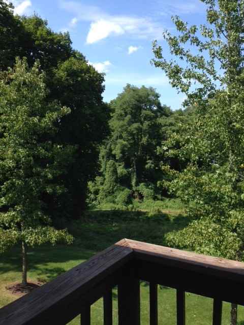 510 Maplewood Ave - Photo 3 of 25