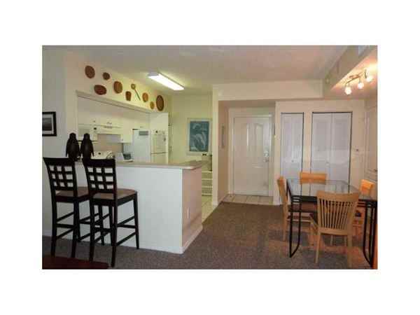 BLUE LAGOON - Photo 2 of 3