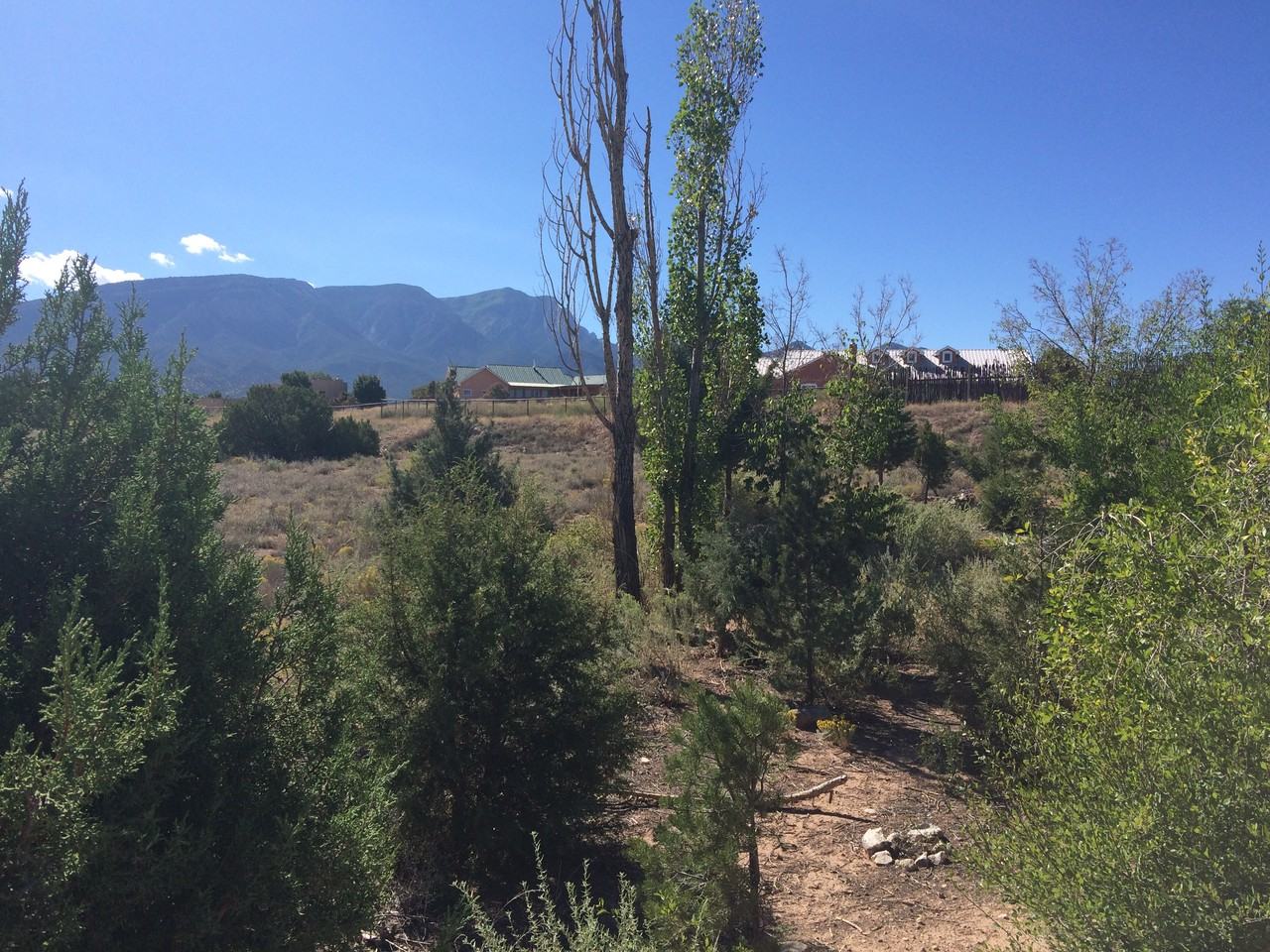 5 Bison Ct - Photo 2 of 50