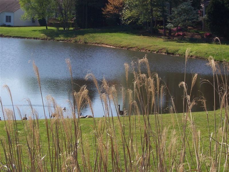 Brookefield Apartments - Photo 3 of 4