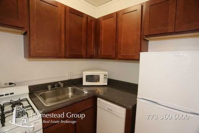 550 W Arlington Pl #503 - Photo 2 of 13