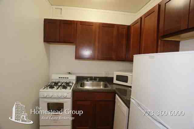 550 W Arlington Pl #503 - Photo 3 of 13