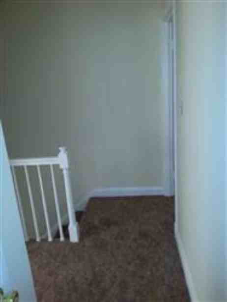 4422 Cedar Garden Rd - Photo 3 of 16