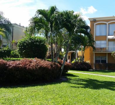 17901 Nw 68th Ave Q202 Hialeah Fl 33015 1 Bedroom