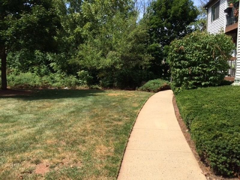 3708 Royce Ct #3708 - Photo 3 of 19